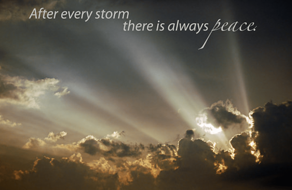 Screen Shot 2018-06-04 at 12.17.23 PM.png