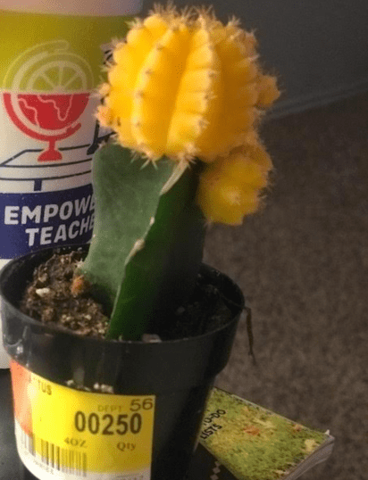 Screen Shot 2018-06-27 at 12.15.21 PM.png